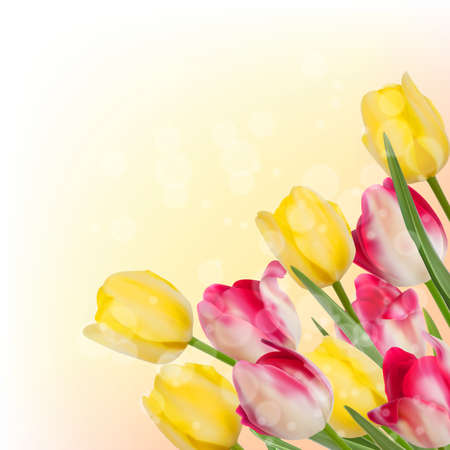 Fresh spring tulip flowers on orange のイラスト素材