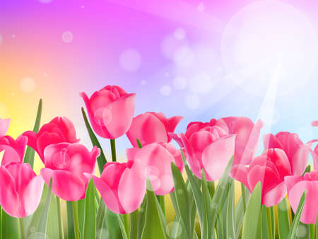 Beautiful spring flowers  EPS 10のイラスト素材