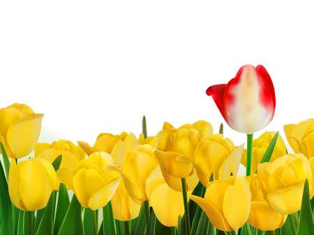 Yellow tulips and one red  EPS 8のイラスト素材