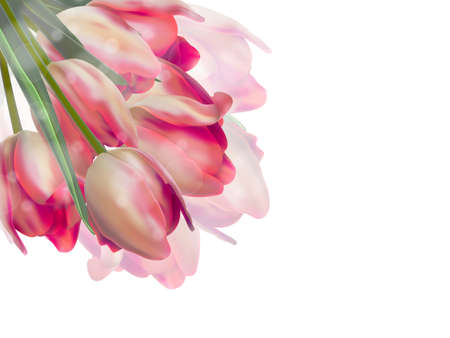 Fresh spring tulip flowers isolated on white. And also includes vectorのイラスト素材