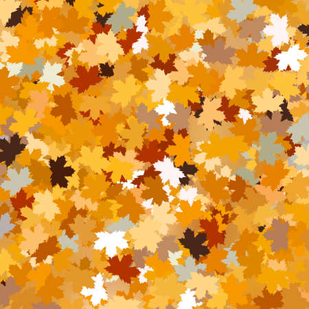 Background with maple autumn leaves. And also includes EPS 10 vectorの写真素材