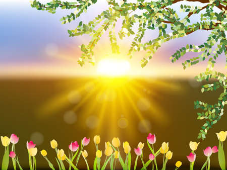 Spring landscape with tulip flowers and sun in the sky.  のイラスト素材
