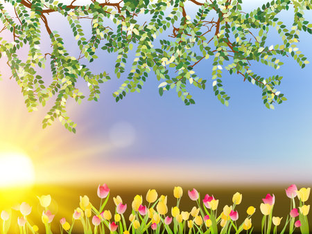 Tulip flowers on sky background.  のイラスト素材