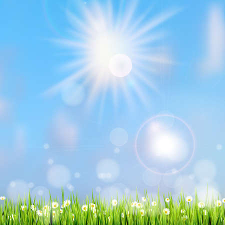 Summer grass in sun light and defocused sky on background. のイラスト素材
