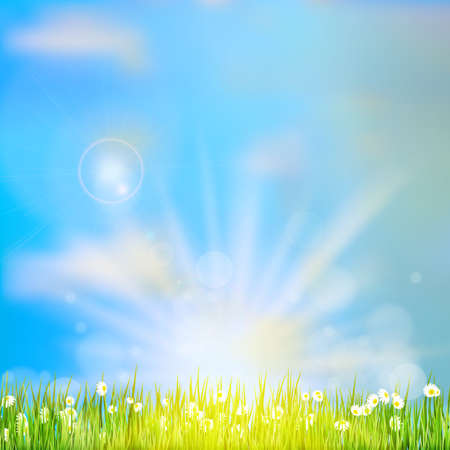 Spring or summer abstract nature background. のイラスト素材