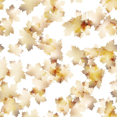 Autumn maple leaves pattern background のイラスト素材