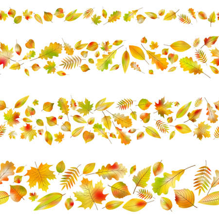 Set of seamless borders made from different autumn leaves isolated on white. And also includes EPS 10 vectorのイラスト素材