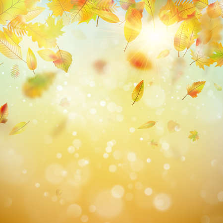 Autumn abstract background. EPS 10 vectorのイラスト素材