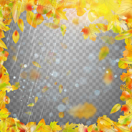 Frame with colorful autumn leaves.のイラスト素材