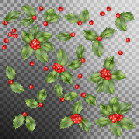 Set of Holly berry leaves Christmas decoration. EPS 10 vectorのイラスト素材