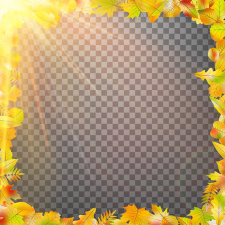 Leaves and sunlight illustration.のイラスト素材