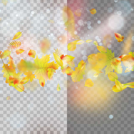 Leaves and bright sunlight. Autumn concept template with copy space for your text.のイラスト素材