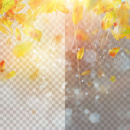 Leaves and bright sunlight.のイラスト素材