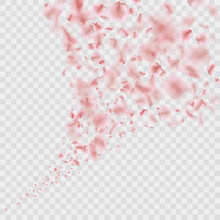 Sakura flying downwind petals on wind isolated. EPS 10 vectorのイラスト素材