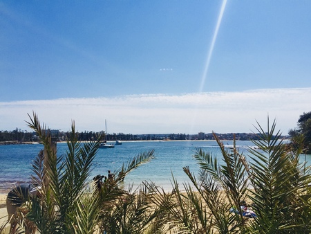 Shelly Beachのeditorial素材