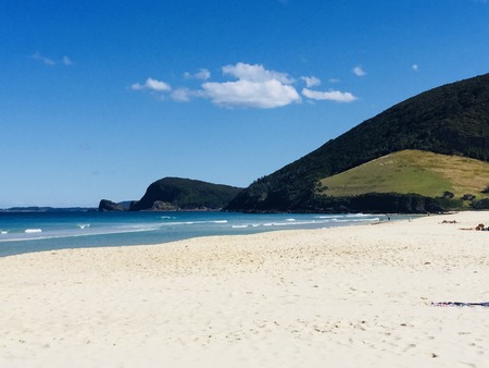 Blueys Beachのeditorial素材