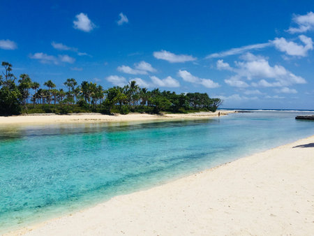 Beachlife