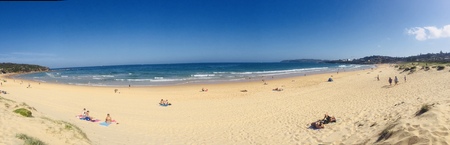 Panoramic view Curl Curl Beachのeditorial素材