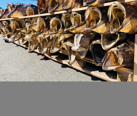 Dried fish heads stacked on a wooden pallet in the street.