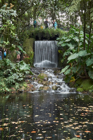 Waterfall in the rainforest of Bogota