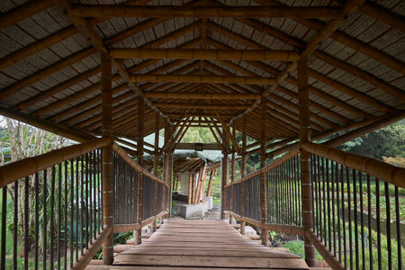 Wooden bridge in the garden, Bogotaの写真素材