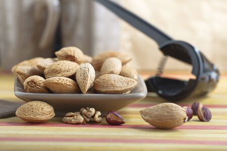 Almonds with kernel 03の写真素材