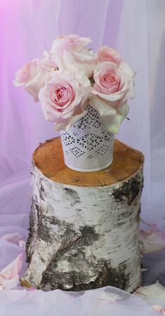 Beautiful roses flowers in vaseの写真素材