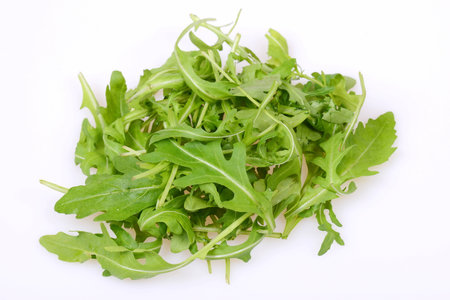 Ruccola on whiteの写真素材