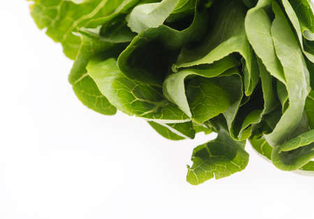 Lettuce isolated on a white backgroundの写真素材
