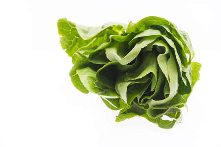 Lettuce isolated on a white backgroundの写真素材