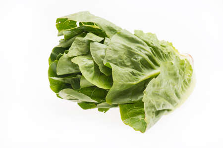 Lettuce isolated on a white backgroundの写真素材