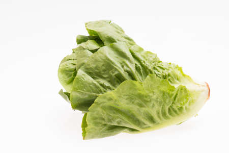 Lettuce isolated on a white backgroundの写真素材