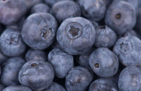 Fresh blueberriesの写真素材