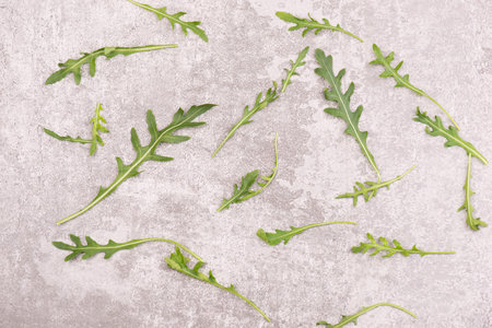 Arugula salad, empty copy space for text