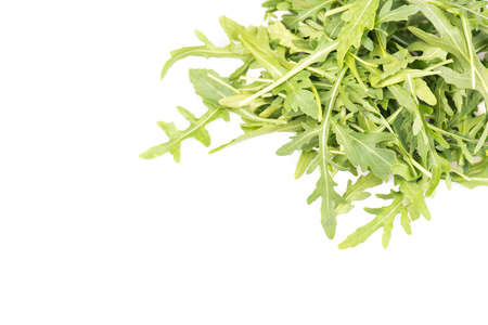 Arugula salad, empty copy space for textの写真素材