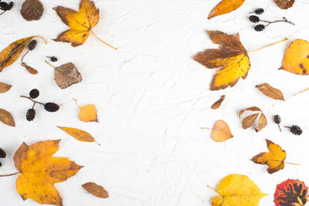 Autumn leaves on a textured background, empty copy space, flat lay, top viewの写真素材