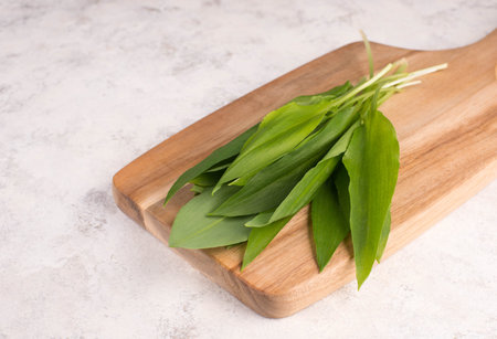 Fresh wild garlic leaves on a textured background, empty copy space for text