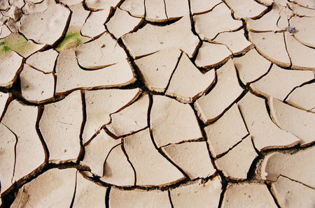 A closeup shot of a cracked floor texture