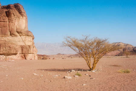 Timna Park near Eilat in the southern Israel, desert Negev, King Salomon pillarsの写真素材