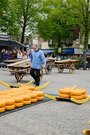 Traditional cheese market in Alkmaar, Netherlands, May 15, 2015のeditorial素材