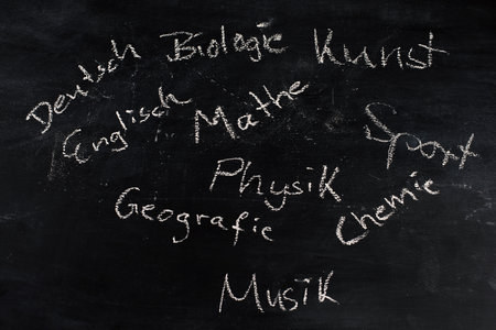School subjects like physics, maths, biology standing on a blackboard, handwritten with white chalk,...