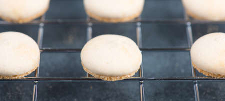 Anise biscuits, german traditional christmas sweetsの写真素材