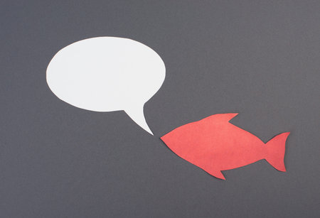 Fish with speech bubble, communication, having a discussion, sending a message, copy space, gray backgroundの写真素材