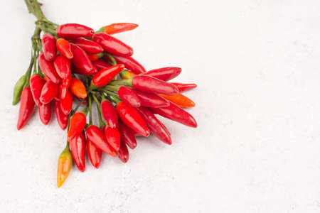 Red hot chilli pepper on a white textured background, ingredients for spicy food, copy space for textの写真素材