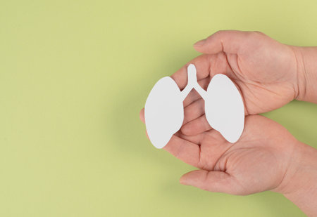 Holding paper lungs in the hand, lung cancer, world tuberculois day, no tabacco day, organ donation, air pollution conceptの写真素材