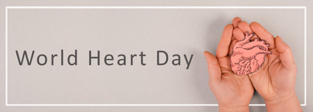 Woman is holding a red heart in her hand, world heart day, gray colored background, heartbeat, health issueの写真素材