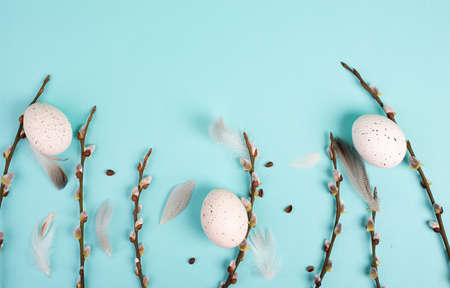 Easter holiday background, small eggs, branches of pussy willow, greeting card, spring season, blue color, copy space for textの写真素材