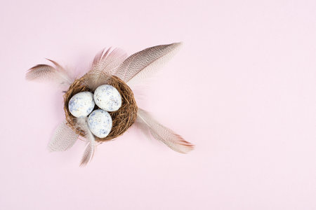 Easter holiday background, nest with small eggs, branches of pussy willow, greeting card, spring...