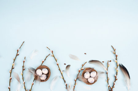 Easter holiday background, nest with small eggs, branches of pussy willow, greeting card, spring...