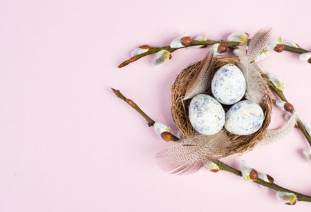 Easter holiday background, nest with small eggs, branches of pussy willow, greeting card, spring...